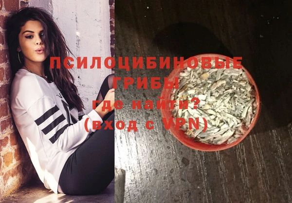 ешки Арсеньев