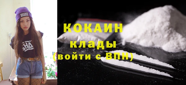 ешки Арсеньев