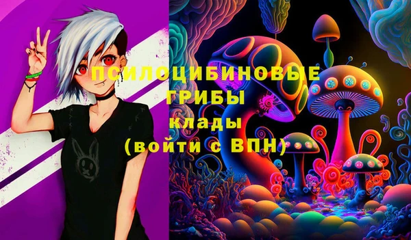 мет Аркадак