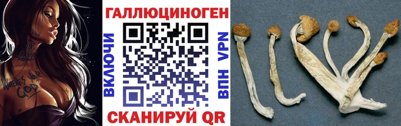 Галлюциногенные грибы GOLDEN TEACHER где купить наркоту Мурманск